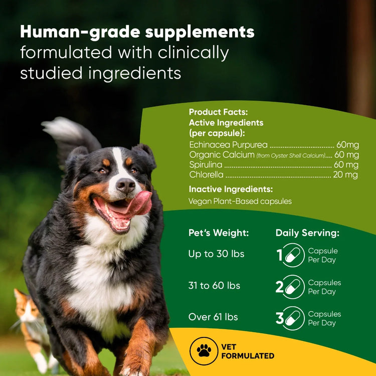 Spirulina & Chlorella