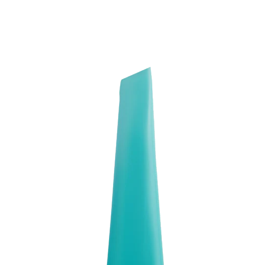 STALEKS Pro Expert 65/4 Slant Eyebrow Tweezers