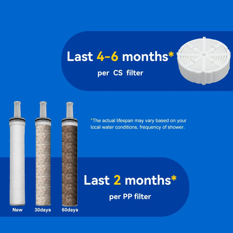 ALTHY Handheld Showerhead & Filter System — SFH70