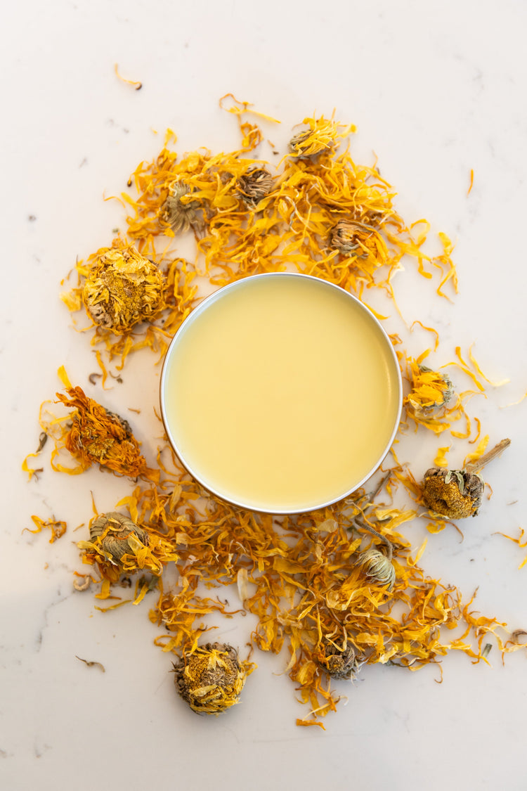 Honeyshine Calendula Salve — Dry Skin Moisturizing Balm
